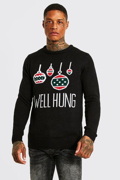 Різдвяний джемпер Well Hung