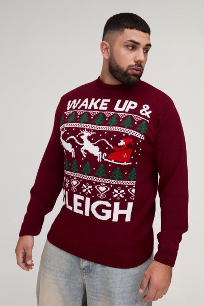 Плюс різдвяний джемпер Wake Up & Sleigh