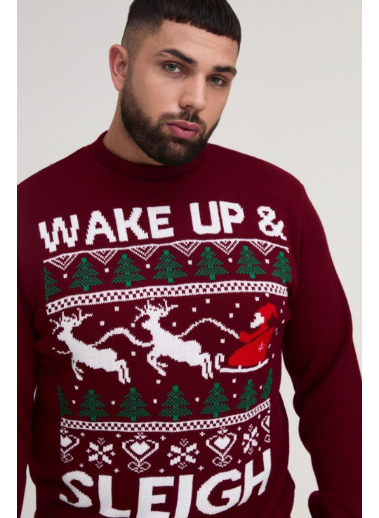Плюс різдвяний джемпер Wake Up & Sleigh