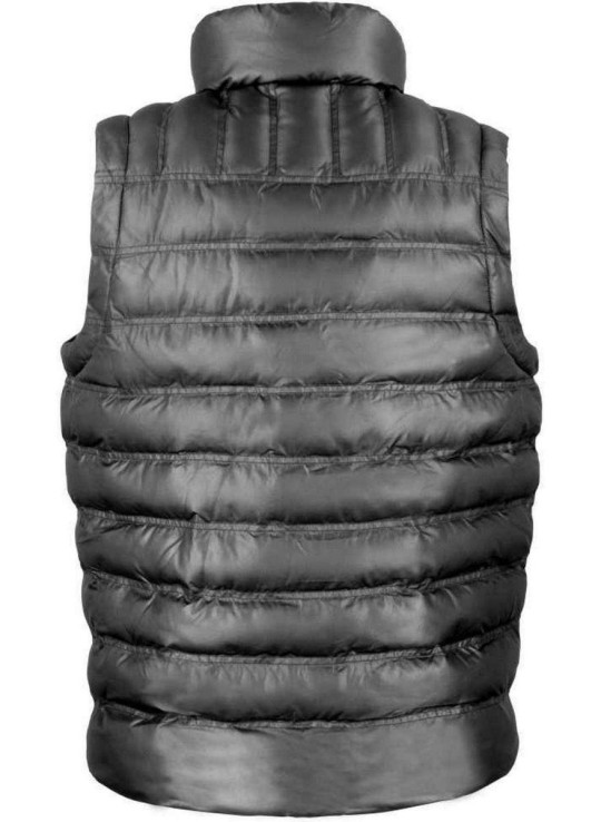 Міський крижаний птах, що підбивається